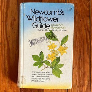 Vintage 1977 Newcomb's Wildflower Guide | Field Identification Book